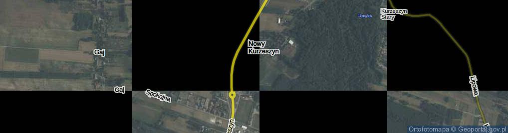 Zdjęcie satelitarne Nowy Kurzeszyn ul.